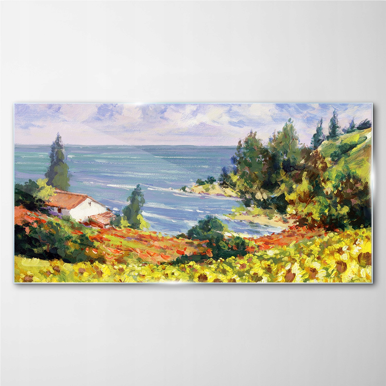 

Foto-obraz szklany Kwiaty wybrzeże niebo 100x50 cm
