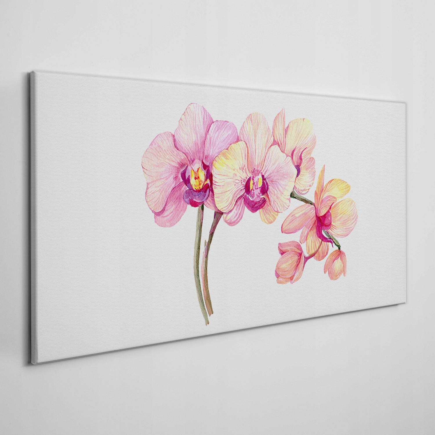 

Obraz na płótnie Malarstwo kwiaty gałąź 100x50 cm