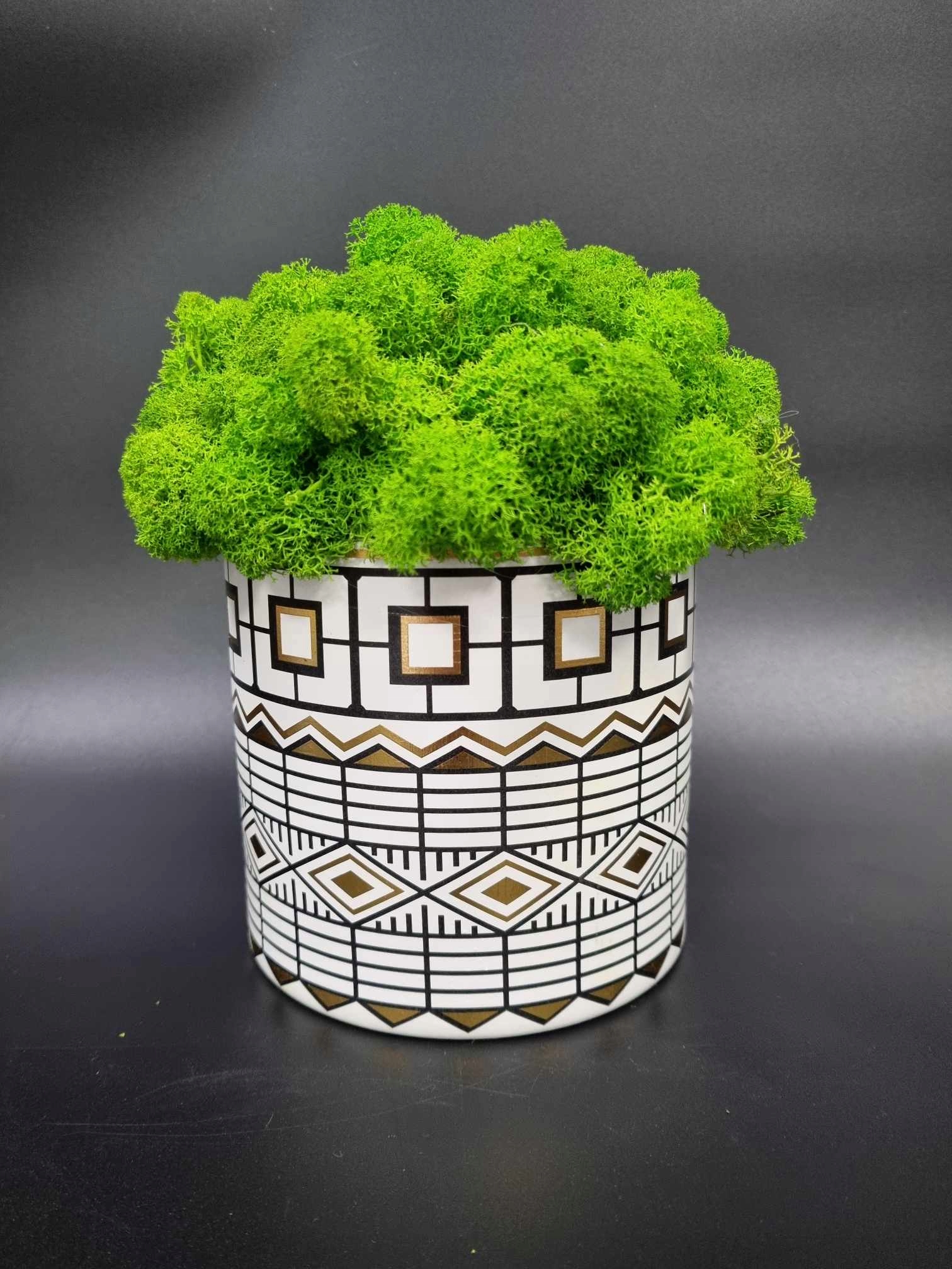 MECH CHROBOTEK W DONICZCE Marka bez marki