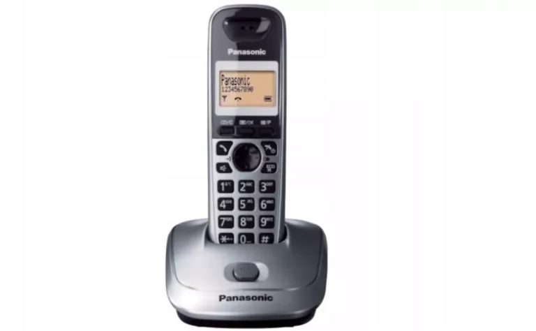 Telefon Bezprzewodowy Panasonic KX-TG2511PDM