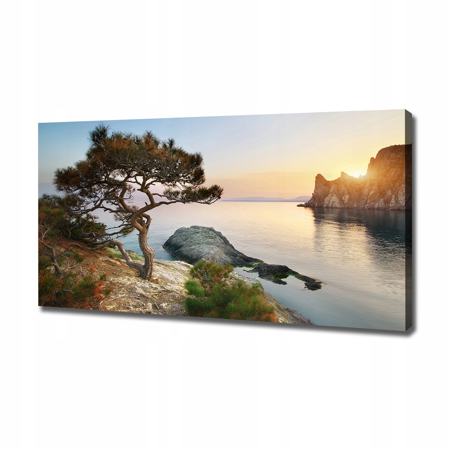 

Foto obraz na płótnie Drzewo nad morzem 120x60 cm