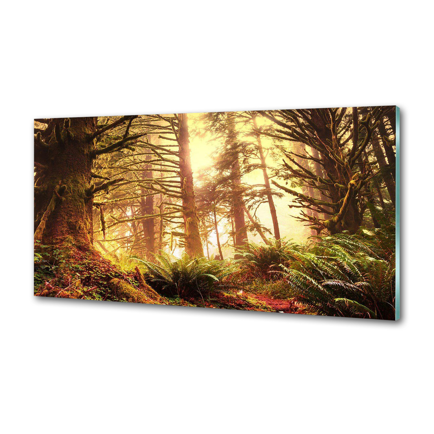 Panel do kuchyne Dažďový les 120 x 60 cm Lepidlo