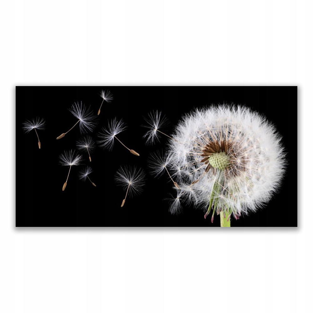 

Obraz akrylowy nowoczesny 140x70 Mniszek Lekarski