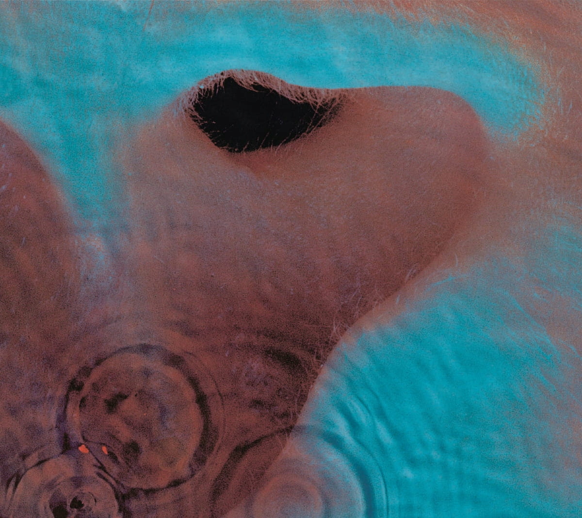 Pink Floyd Meddle 2025 (CD)
