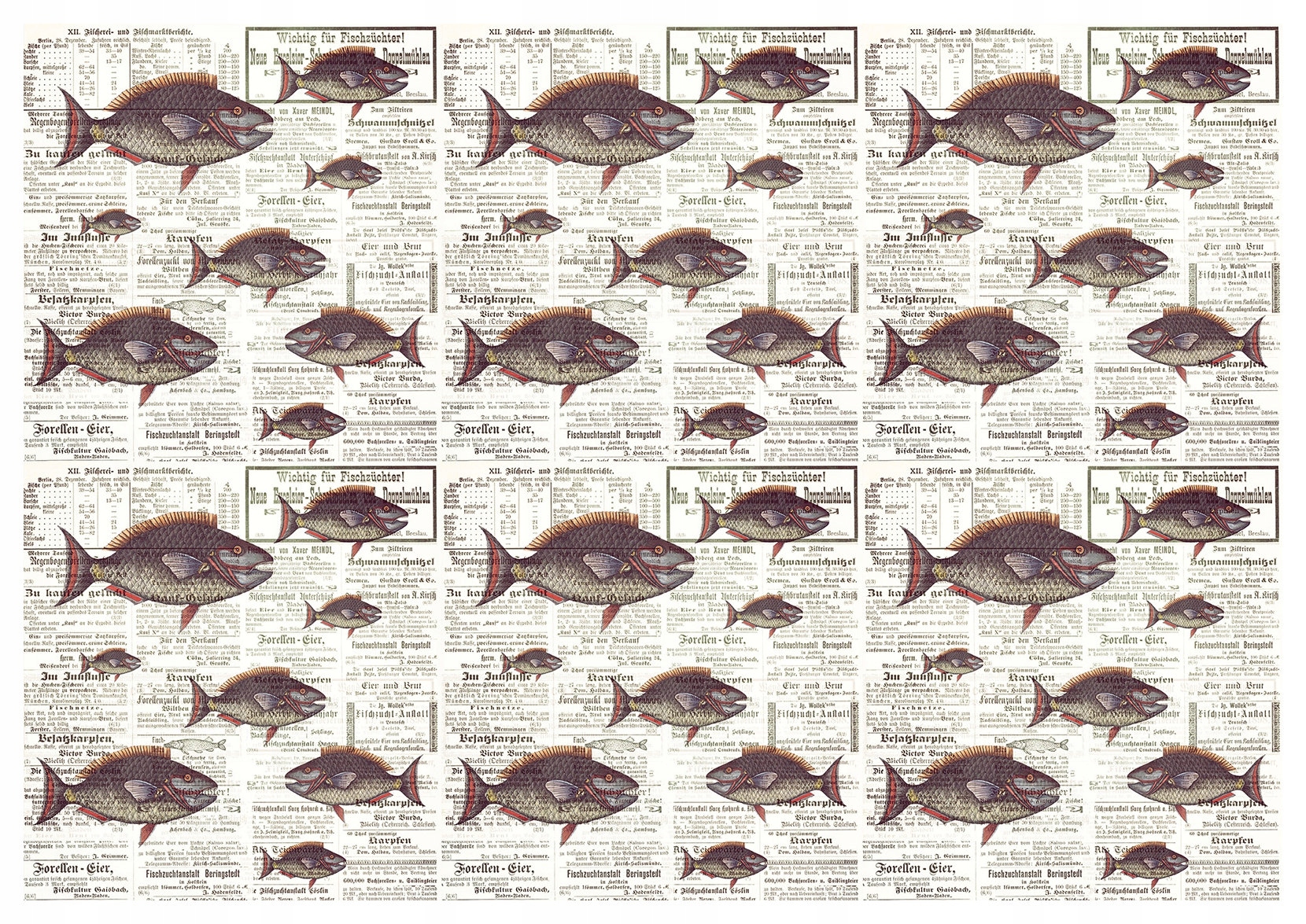 Vliesová fototapeta Ryby Noviny Vintage Retro Ilustrace 368x254 lepidlo