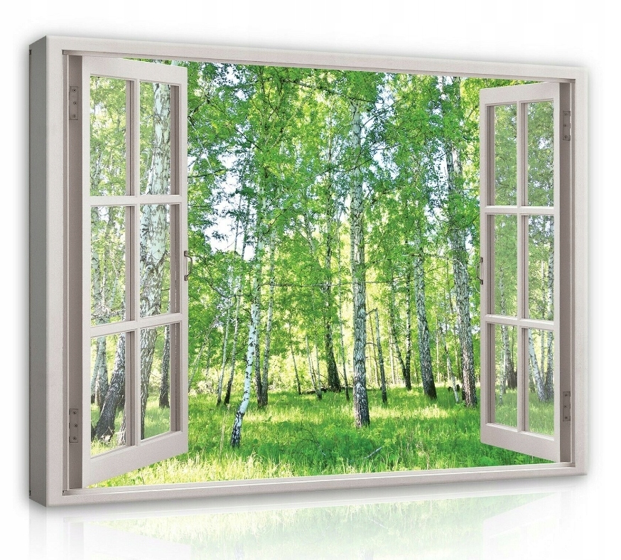 Obraz 100x75 Pohled z okna březový les zeleň krajina léto jaro příroda