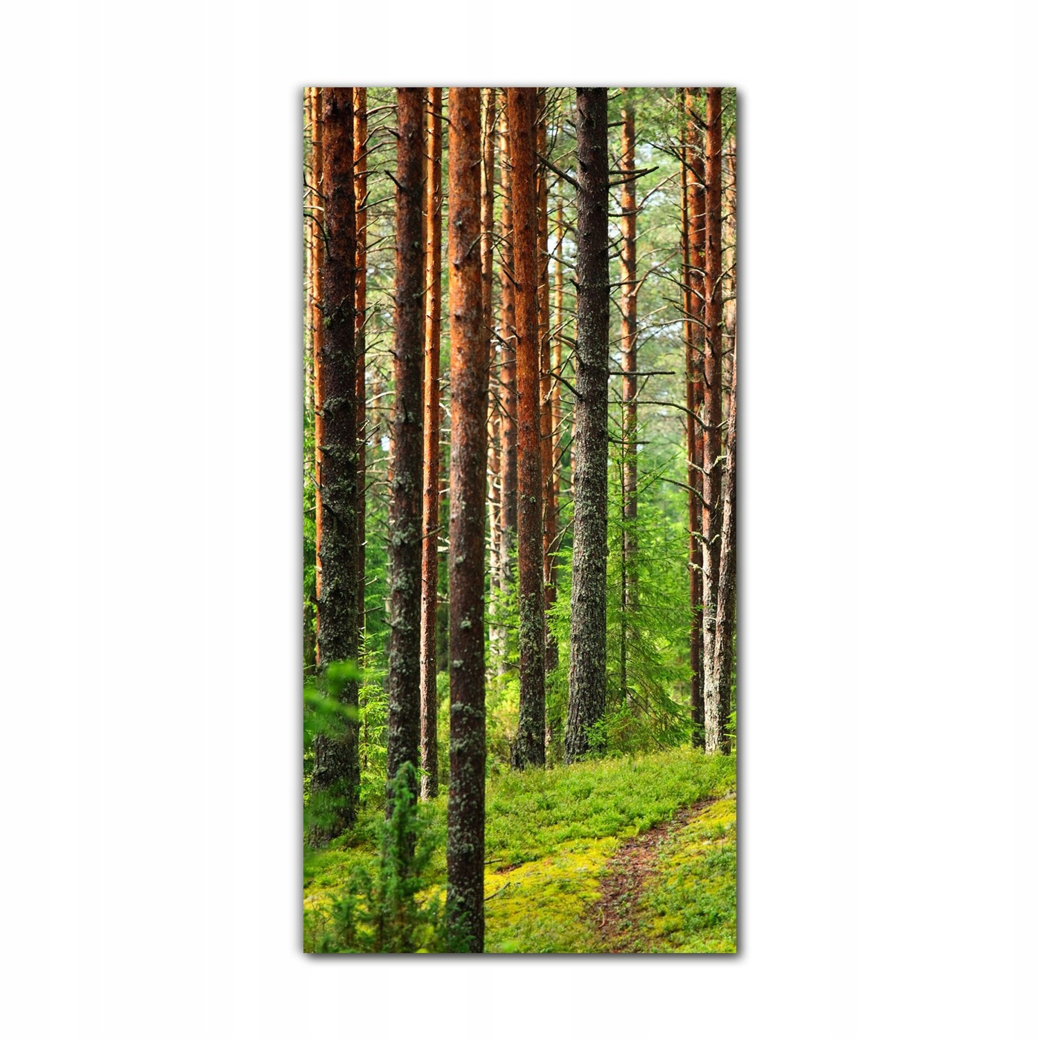 

Foto-obraz na szkle do kuchni 70x140 Zieleń drzewa