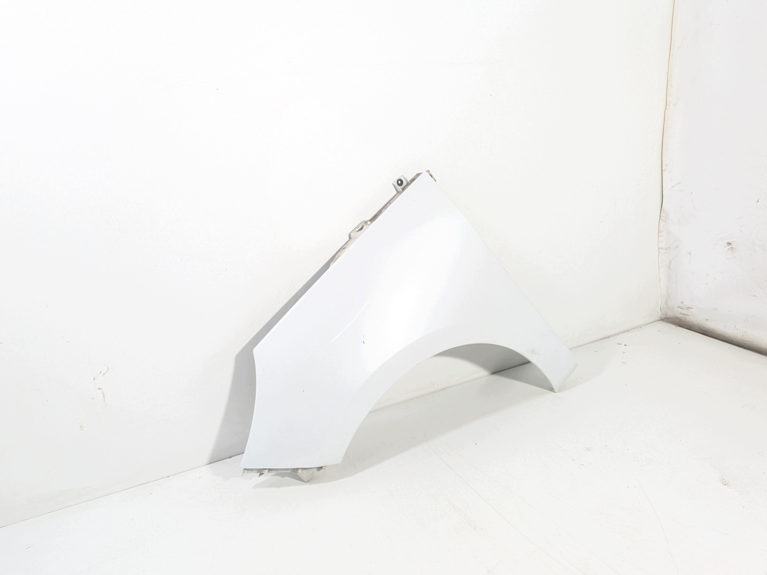 fender left front code lakieru OV369 RENAULT Scenic 3 III 09-16
