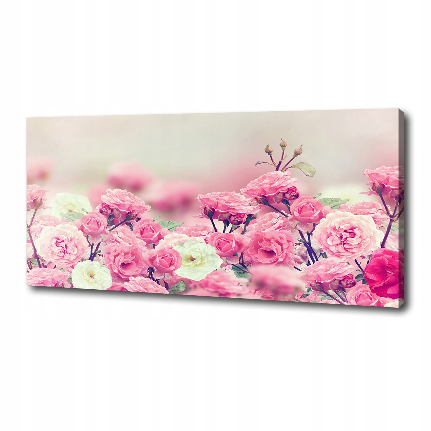 Fotoobraz obraz na plátně Květy divoké růže 125x50 cm