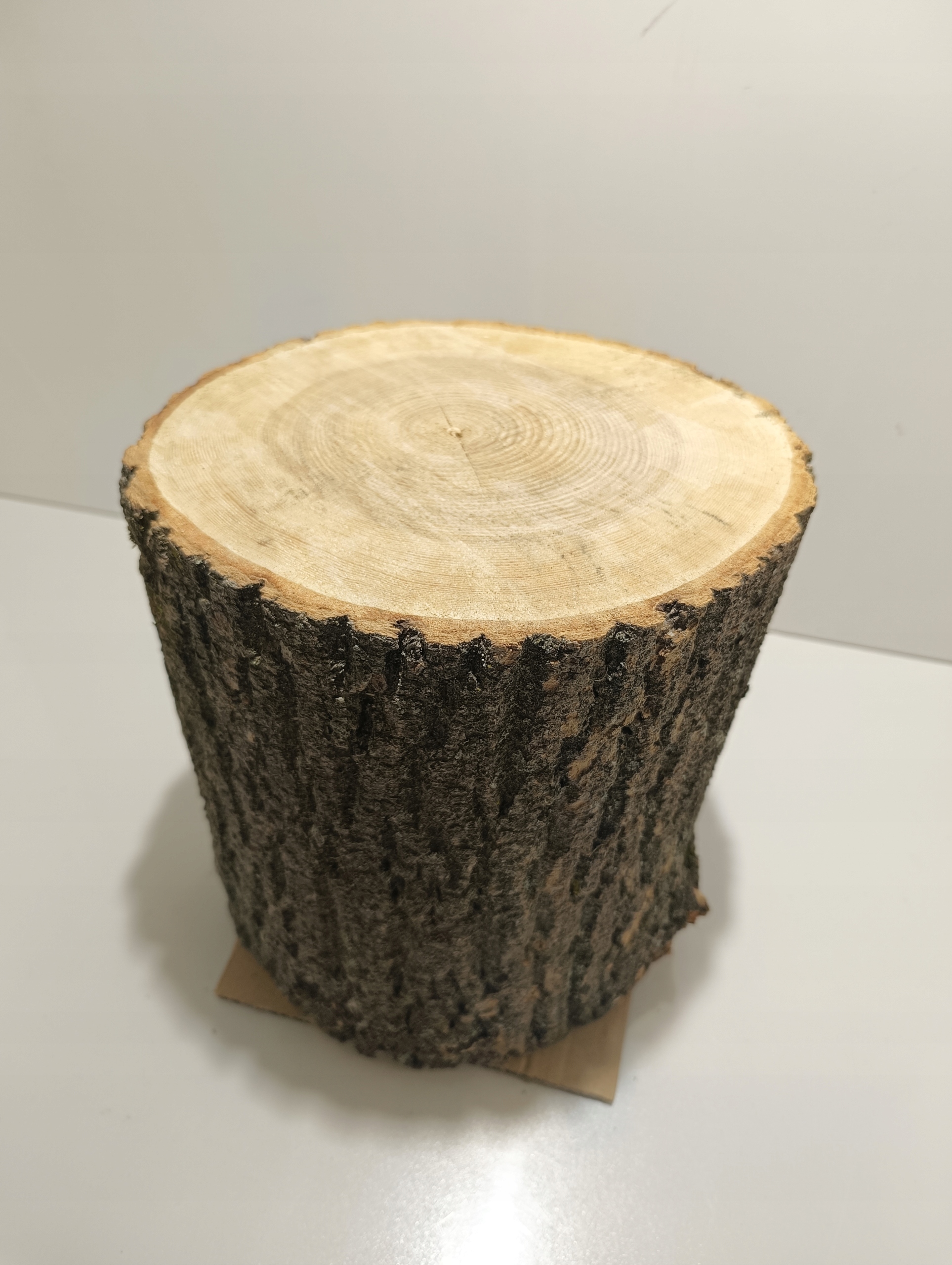 PNIAK JESIONOWY PIEŃ KLOCEK JESIONOWY BARDZO TWARDY ZDROWY ROZ. M 20-27cm Typ produktu drewno