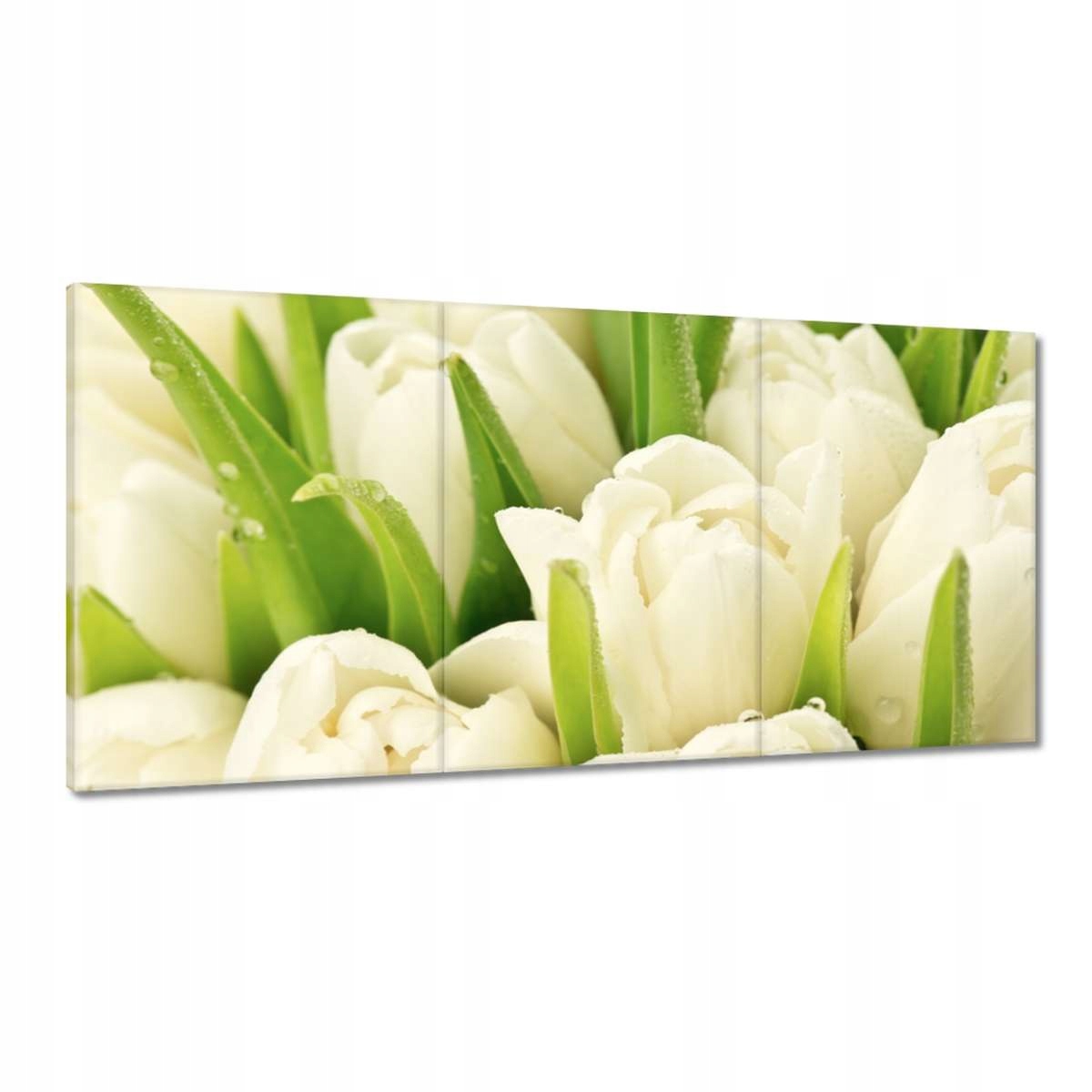 Obrazy 180x90 Jemné tulipány