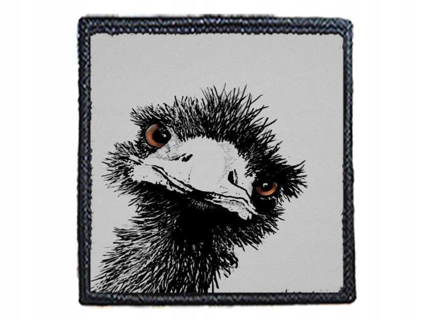 

Naszywka Ostrich Struś