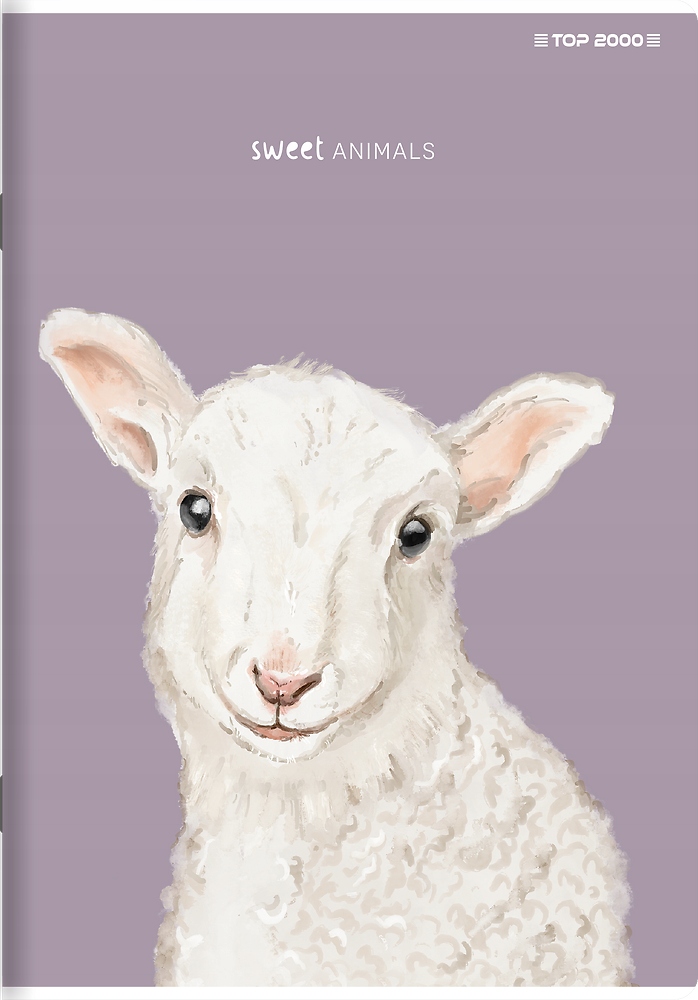 ZESZYT DO SŁÓWEK TOP 2000 SWEET ANIMAL A6 16 KARTEK KRATKA MIKS WZORÓW Kod producenta 400169484