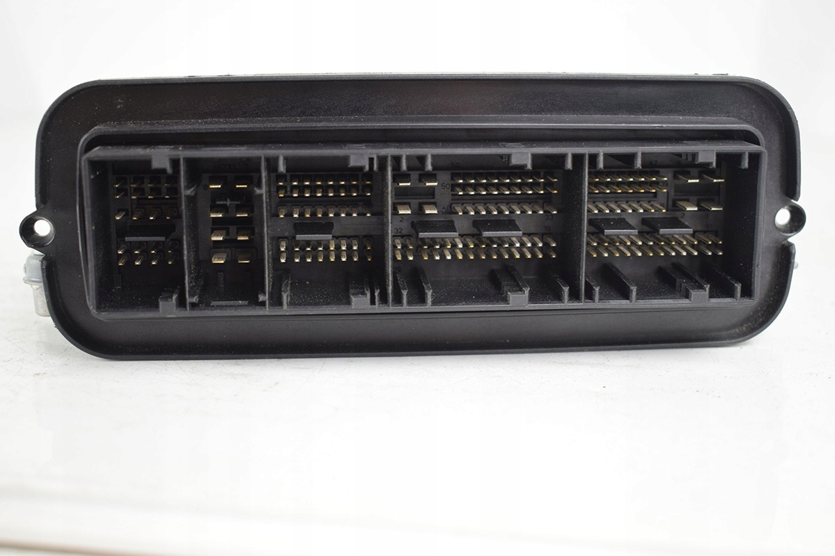 control unit of the engine OPEL 0281017446 8512291