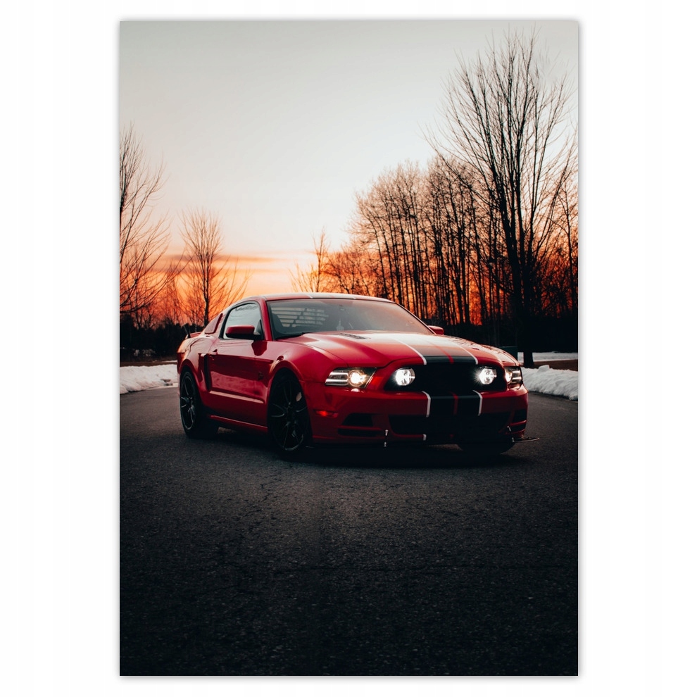 

Naklejki 70x100 Ford Mustang