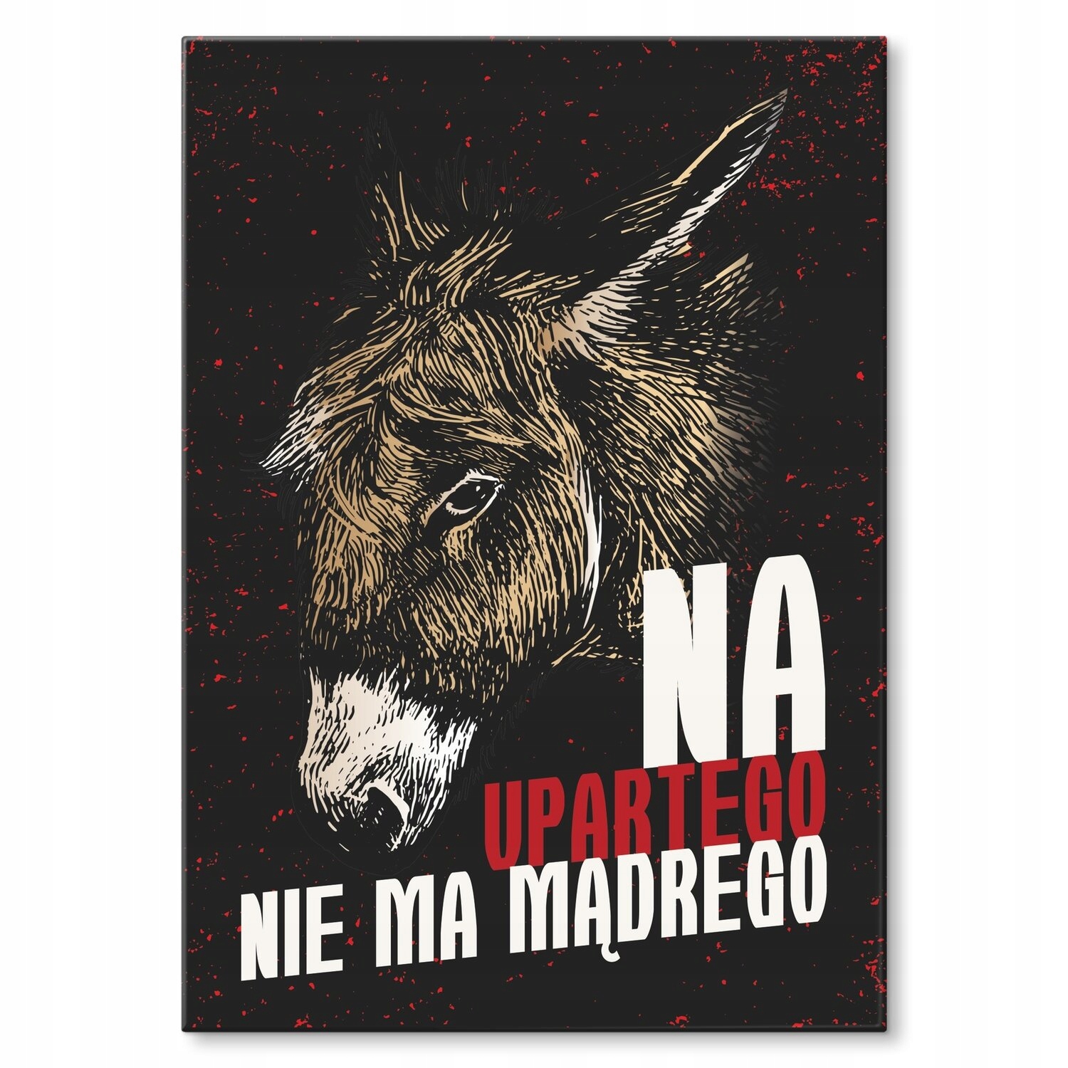 Kovový plakát Na tvrdohlavého Dárek 42 x 59 cm