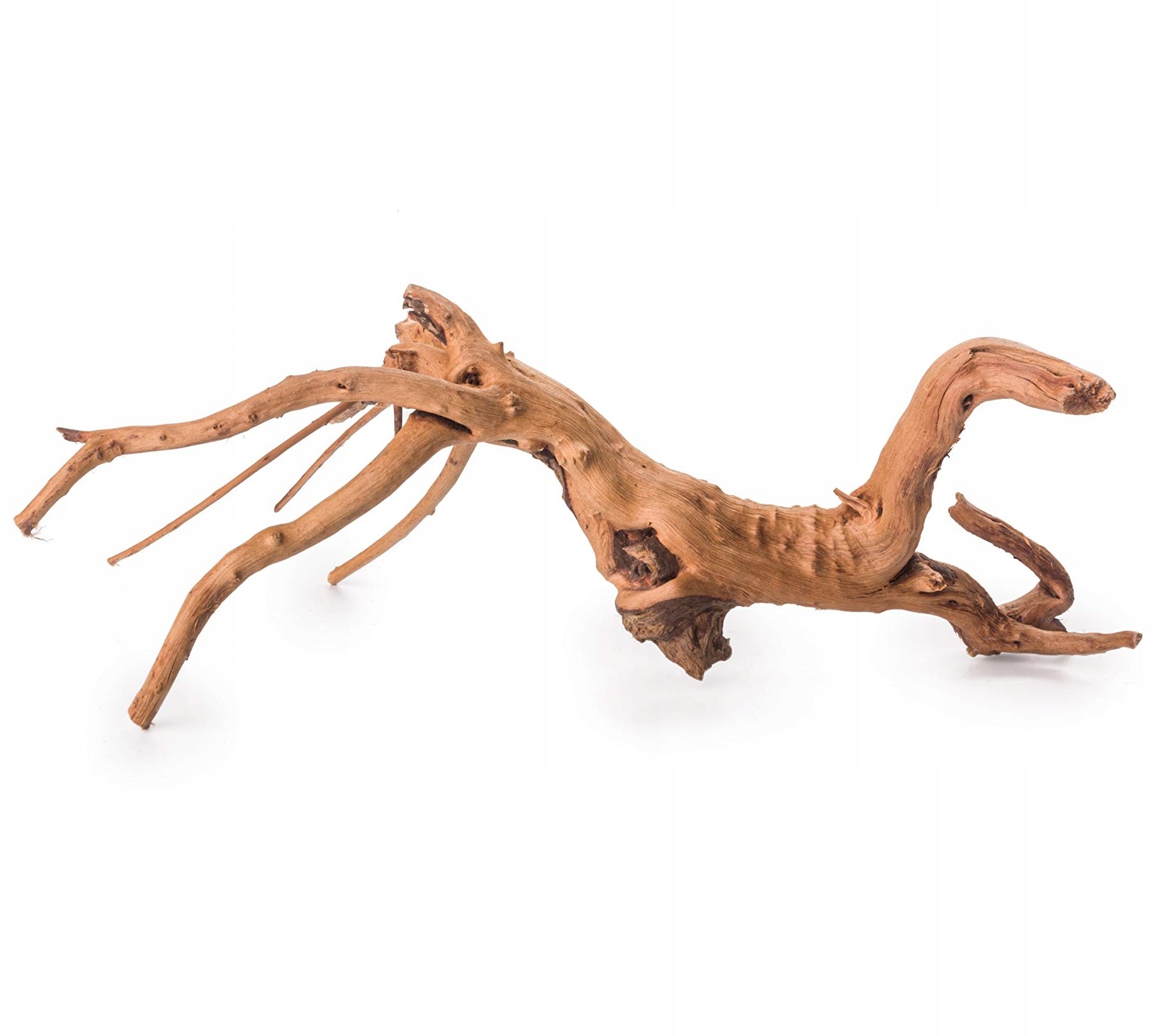 

Korzeń do terrarium Japoński ok. 10cm