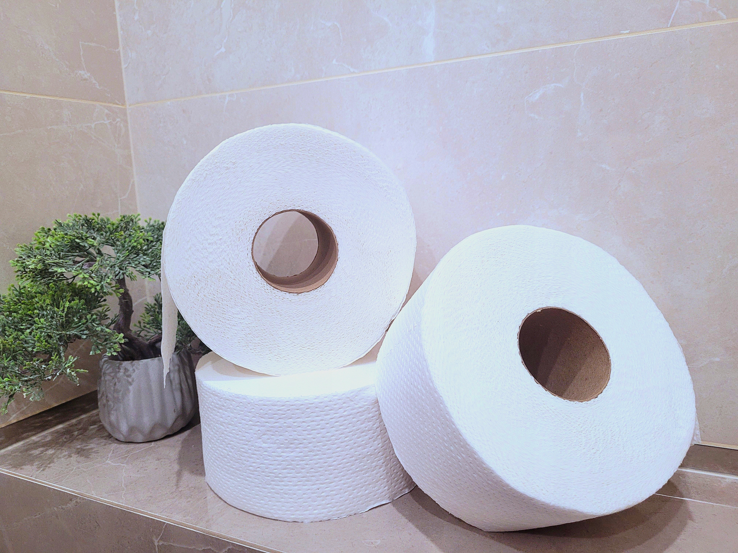 Papier toaletowy Celuloza Jumbo 2-warstwowy 12 rolek EAN (GTIN) 0728433712900