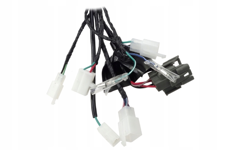 2099489968008 - Електропроводка для мопеда FR 2