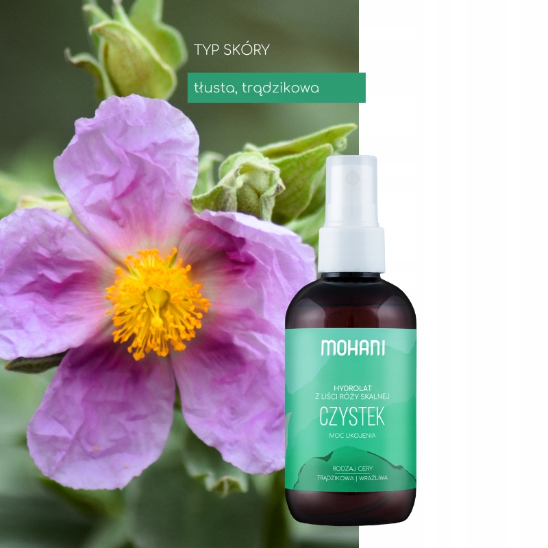 HYDROLAT Z CZYSTKA CERA TRĄDZIKOWA 100 ml MOHANI Typ skóry Problematyczna