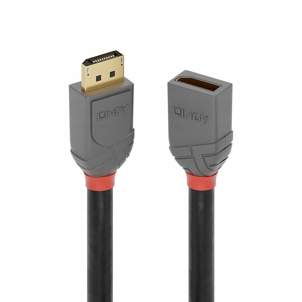 Kabel Lindy DisplayPort - DisplayPort 2m szary (36497)