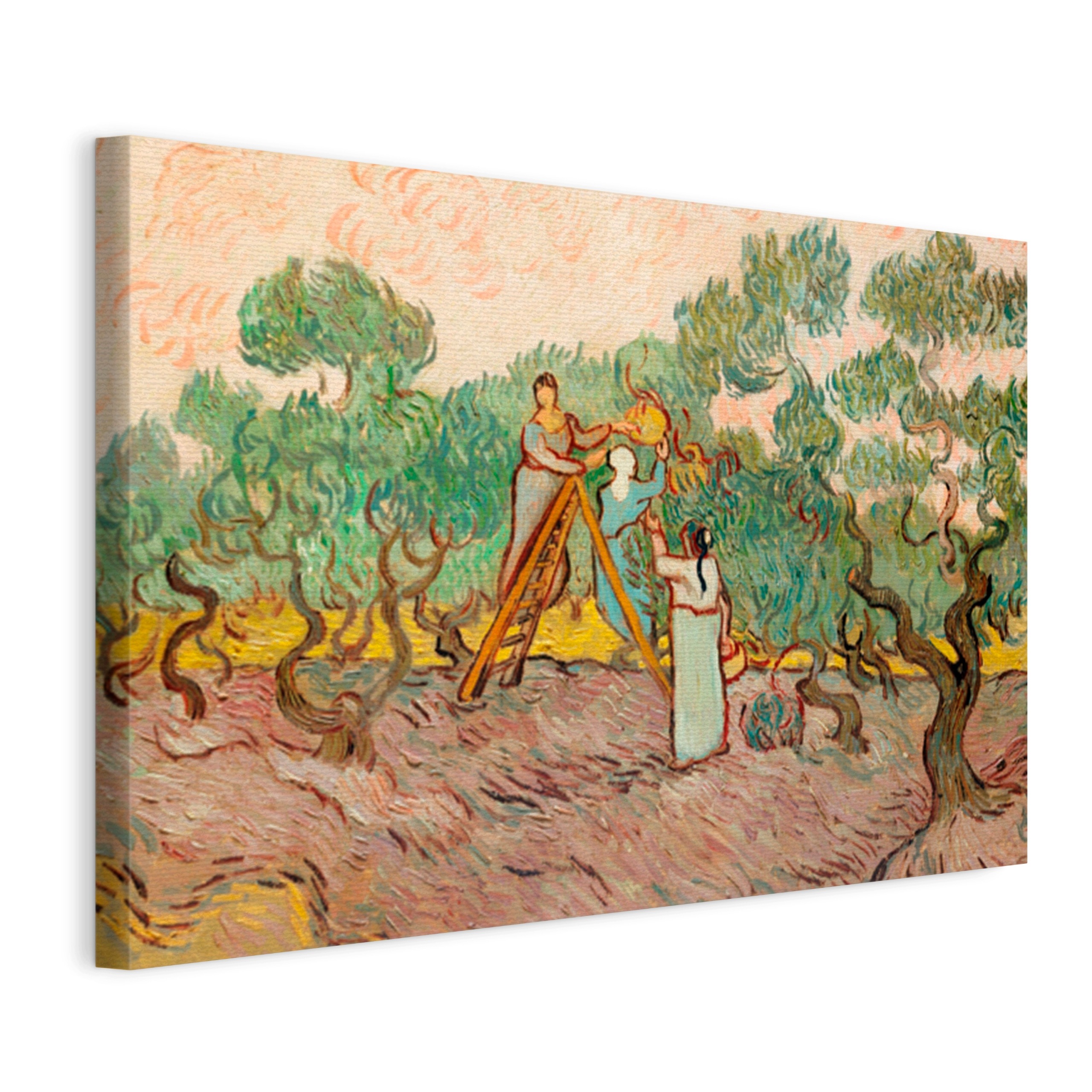 Obraz Na Plátně Vincent Van Gogh Ženy Sbírající Olivy 90x60
