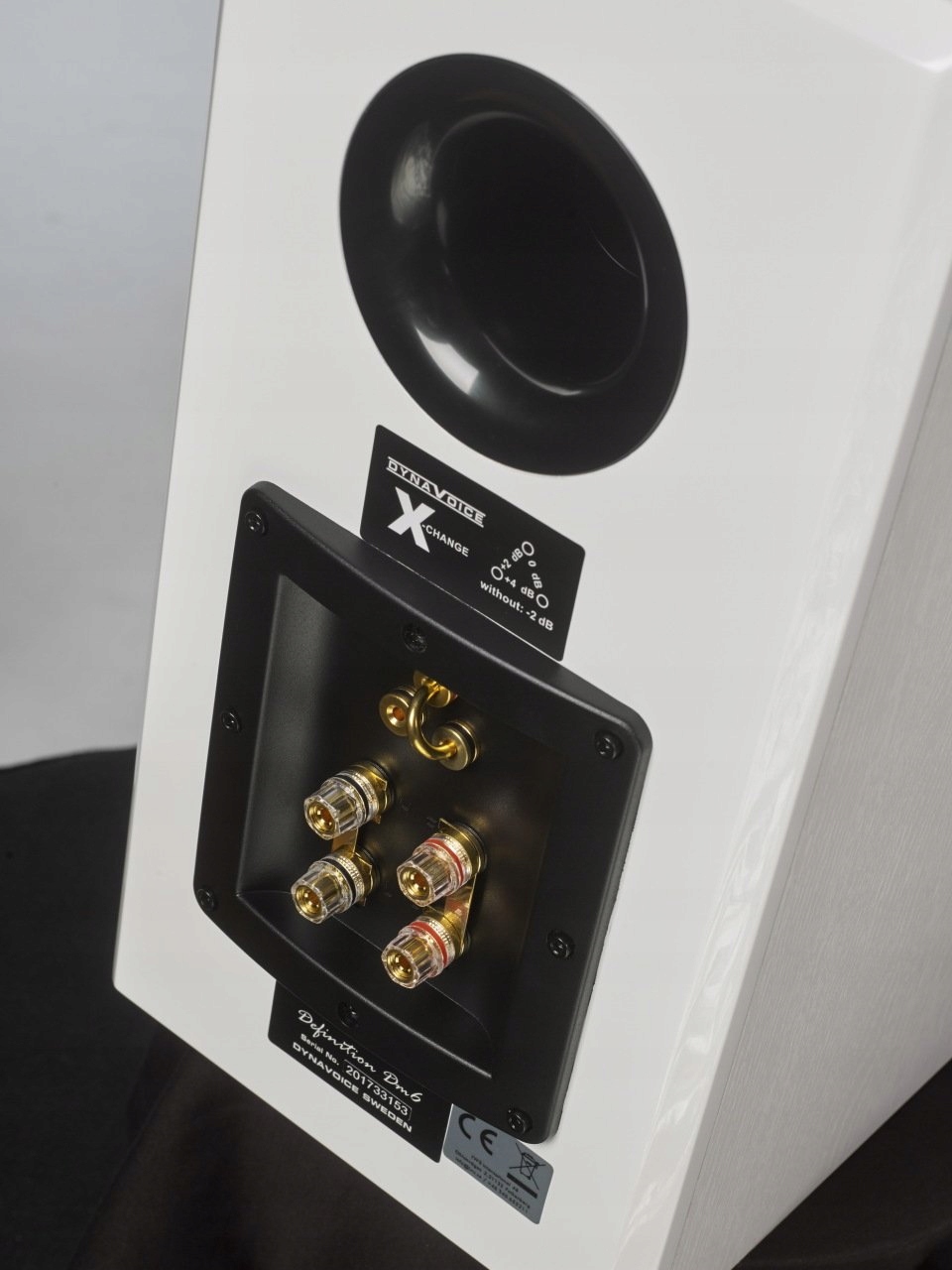 DYNAVOICE DM-6 BIAŁE SZWEDZKIE CUDA + EXTRA STANDY Marka Dynavoice