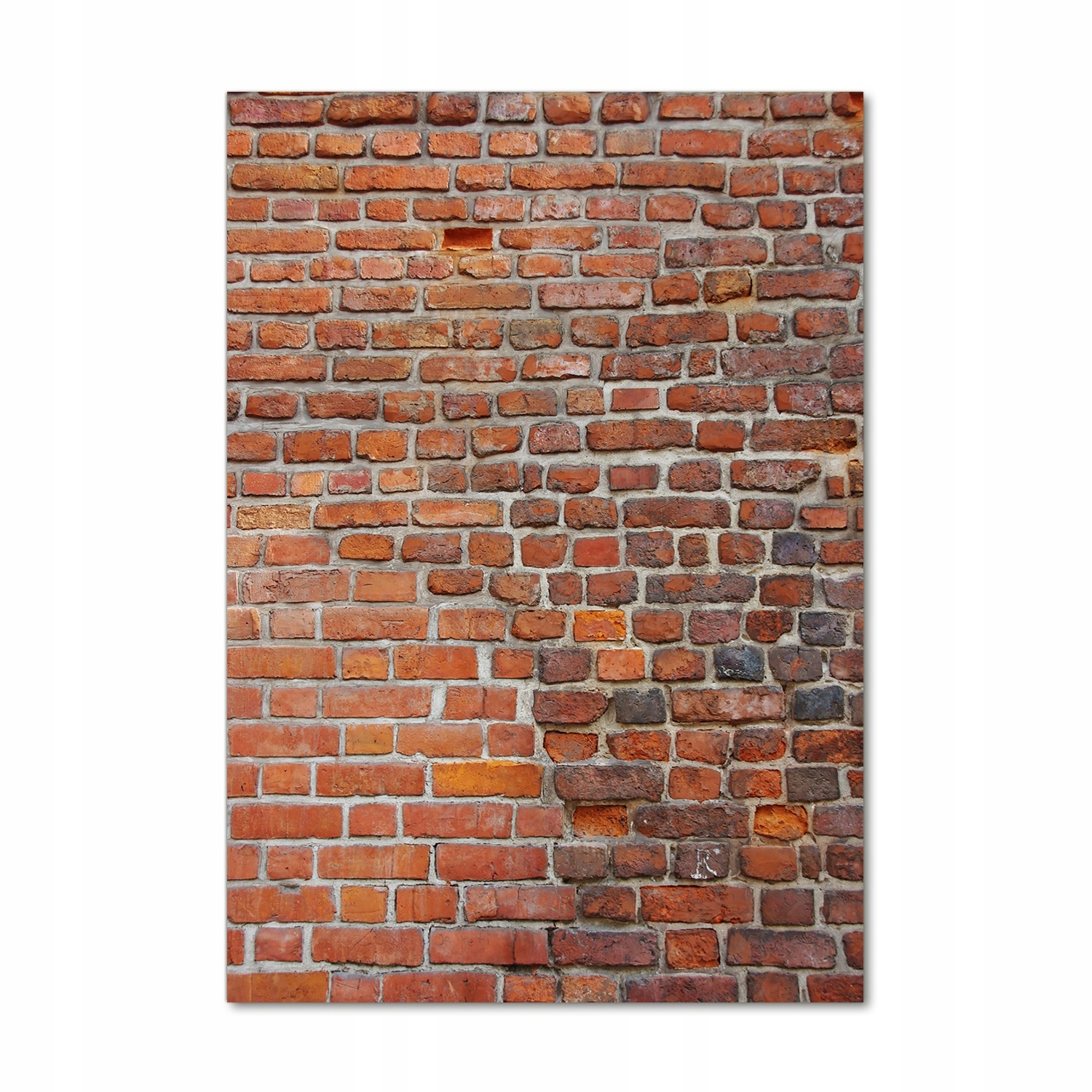 

Foto obraz akryl do salonu Ceglana ściana 70x100cm