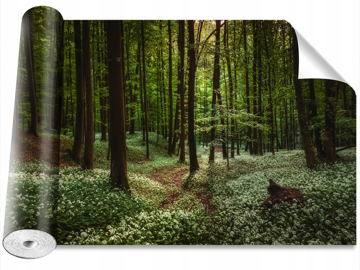 

Tapeta Samoprzylepna Wiosna Las 312x219