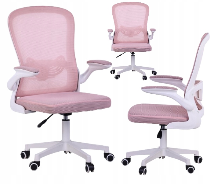 Ergonomická Otočná Kancelářská Židle Pro Mládež S Podporou Beder