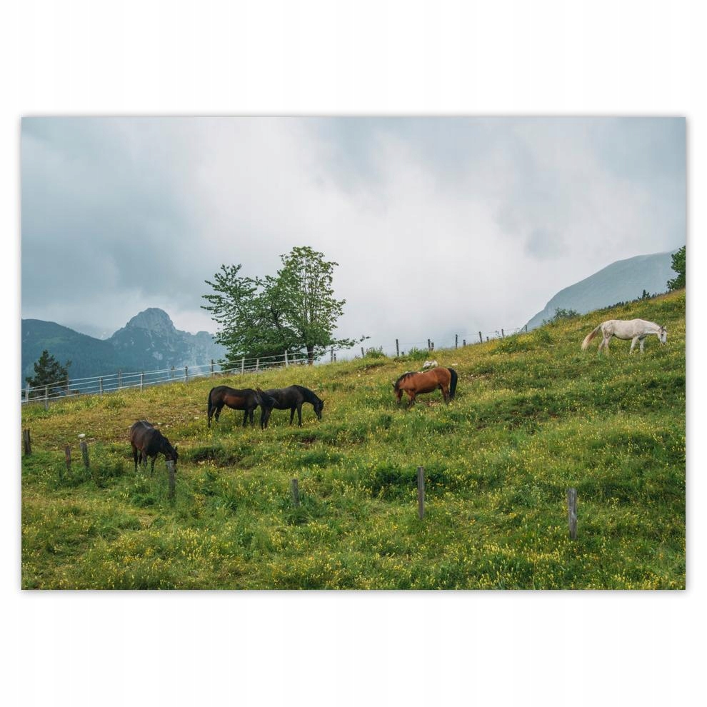 

Naklejki 70x50 Pejzaże Widoki Krajobrazy