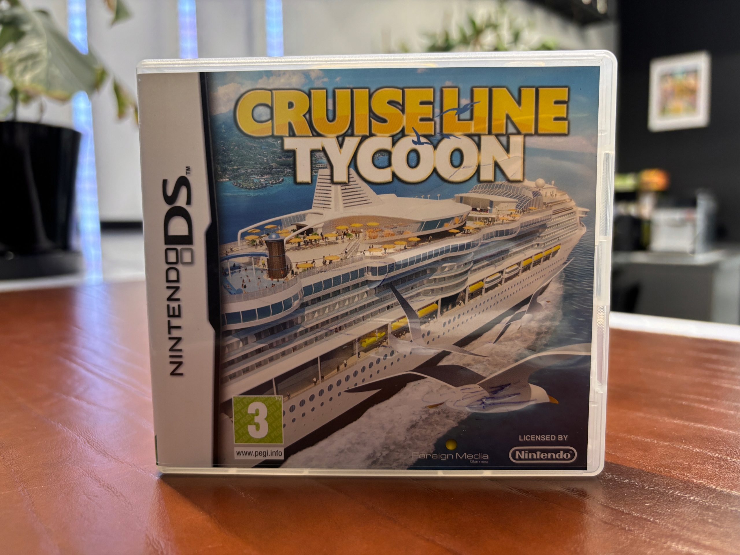 NINTENDO DS NDS Cruise Line Tycoon