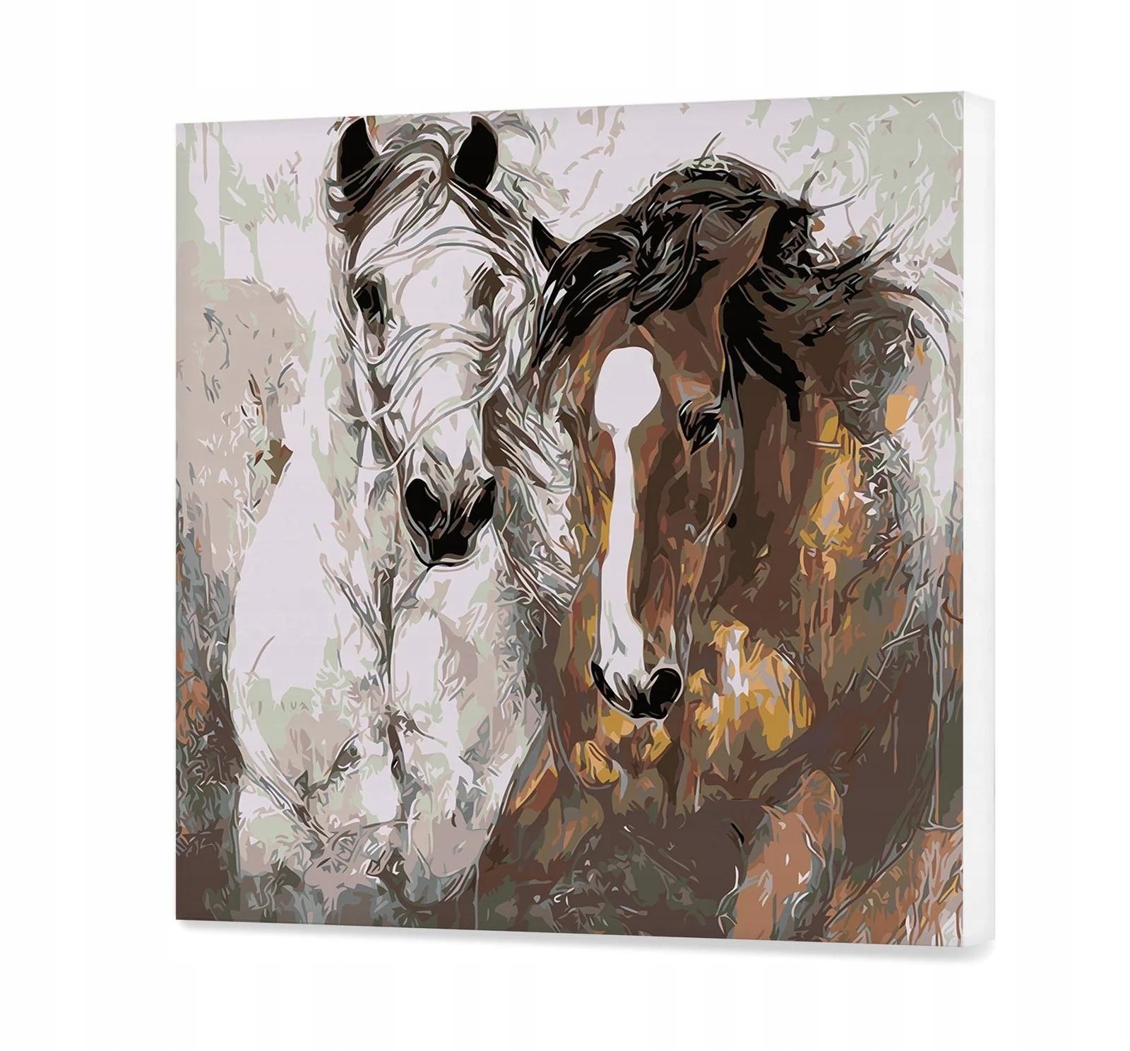 Malování Podle Čísel Kůň Koně dárek 60x60 cm