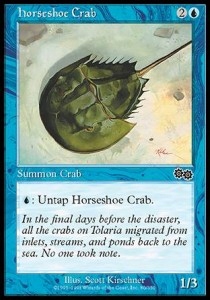 Horseshoe Crab Usg Gratisy Pjotrekkk