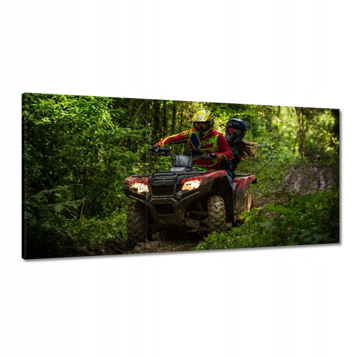 Obrazy 180x90 Quad Štyri kruhy Terén