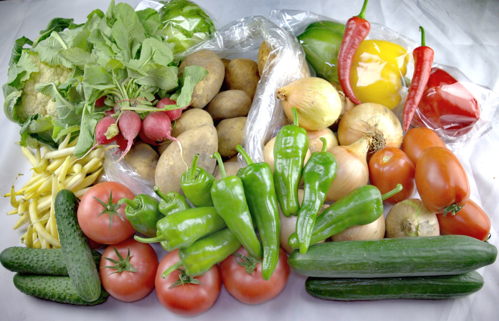 Papryka MIX Do Salsy Zestaw 6kg Pomidory Chili Jalapeno Sigma Fresh