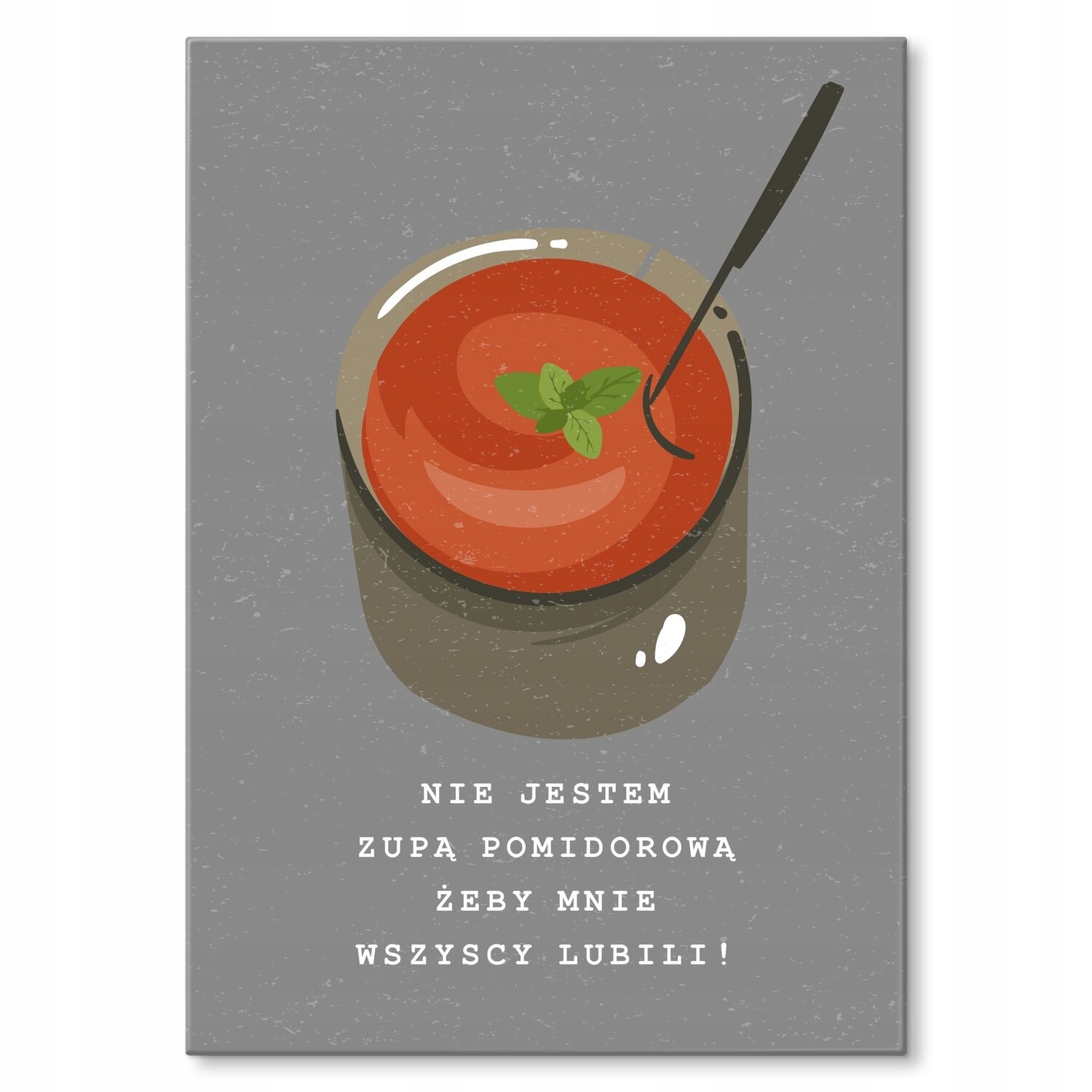 Kovový plakát nejsem polévka Šidítko Plech 30 x 42 cm Dárek