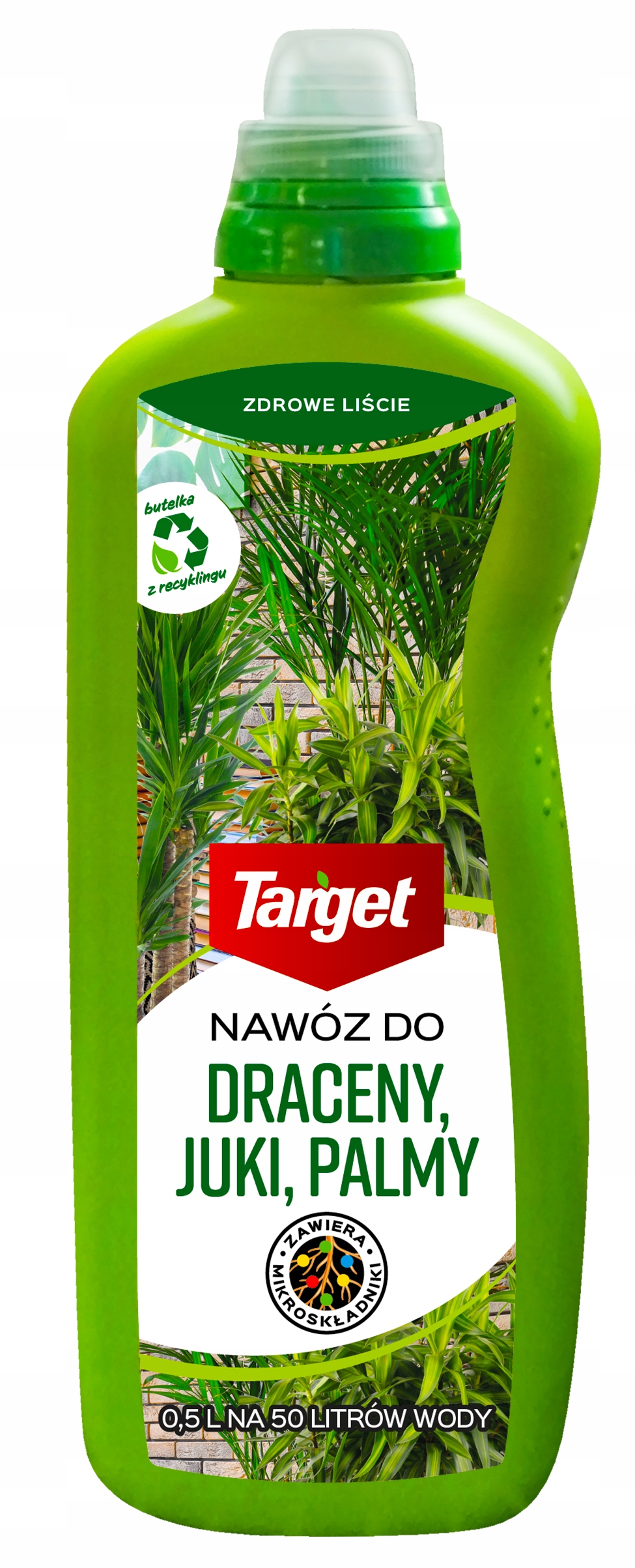 

Target Płynny Nawóz Do Juk Dracen Palm 0,5L Eko