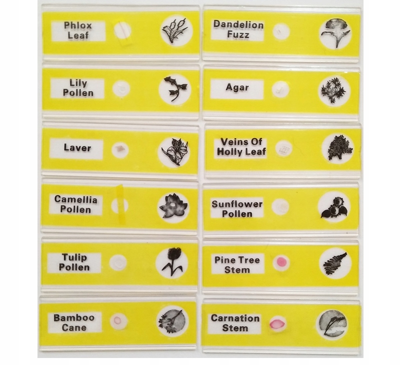 zestaw PREPARATY DO MIKROSKOPÓW dla dzieci 48 szt. Płeć chłopcy dziewczynki