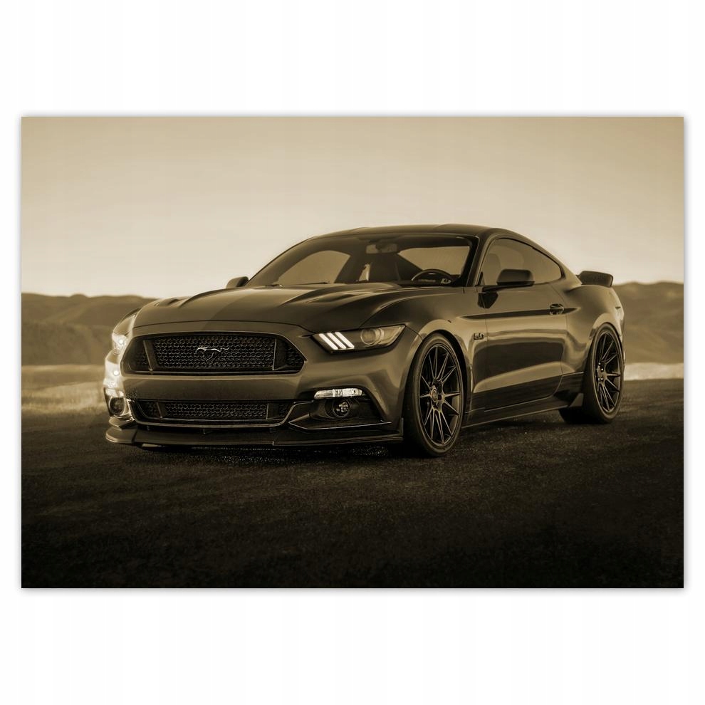 

Naklejki 70x50 Ford Mustang Samochód