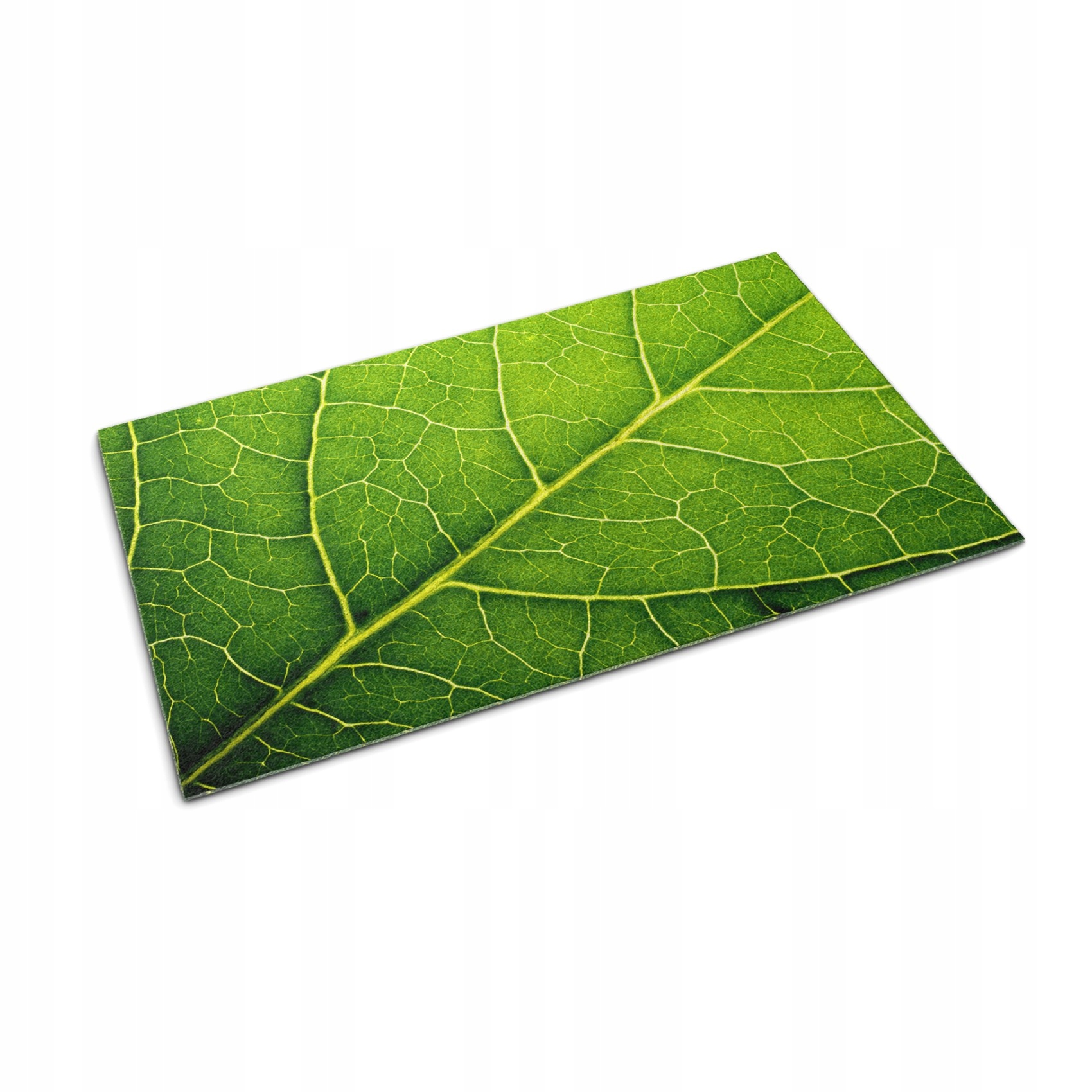 Absorpčná vstupná rohožka pod dvere Detaily Listy 90x60 cm