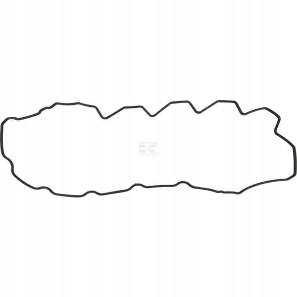 Těsnění víka ventilů 504070038 Case