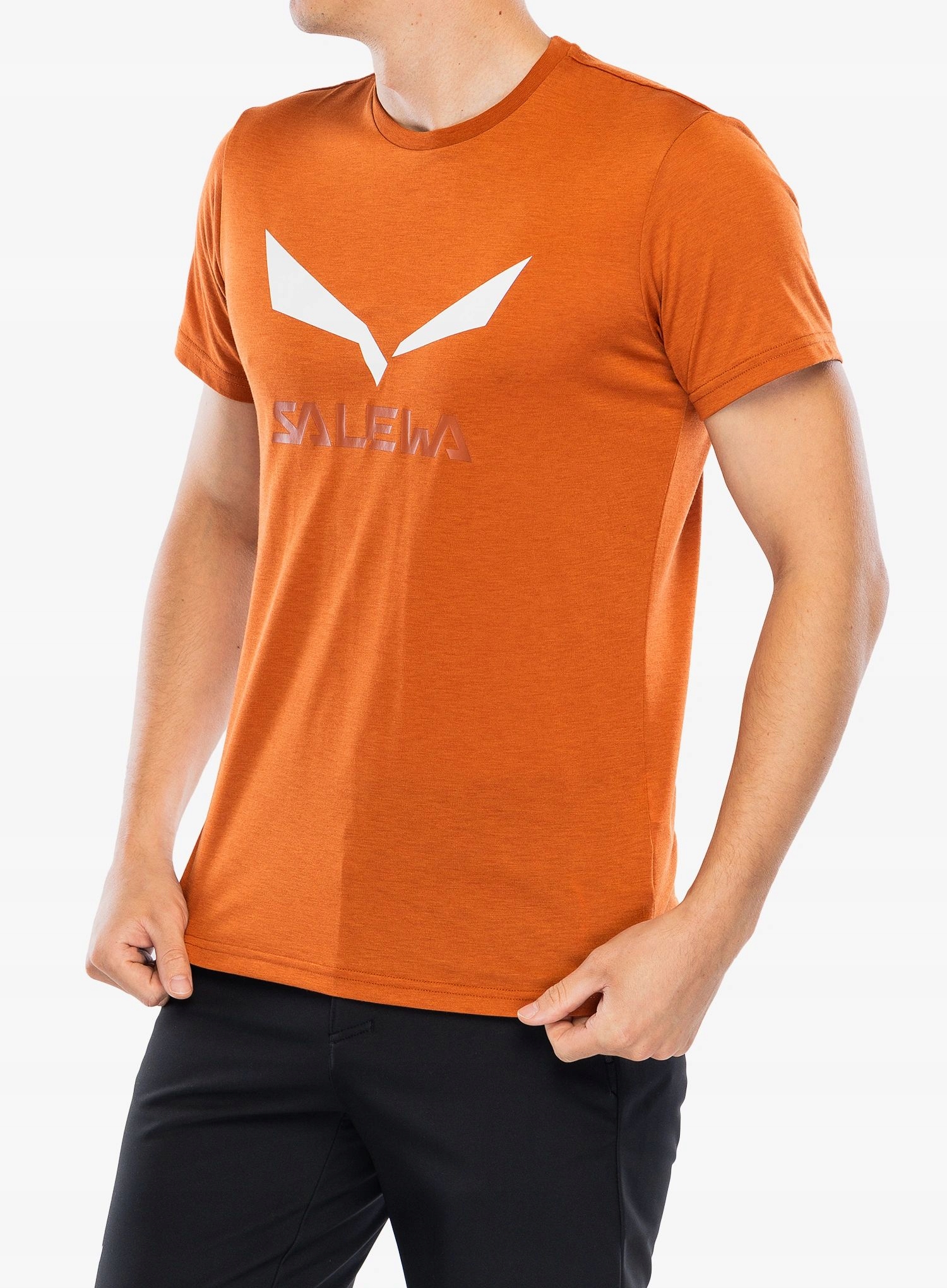 Rychleschnoucí tričko Salewa Solidlogo Dry T-shirt bombay brown M