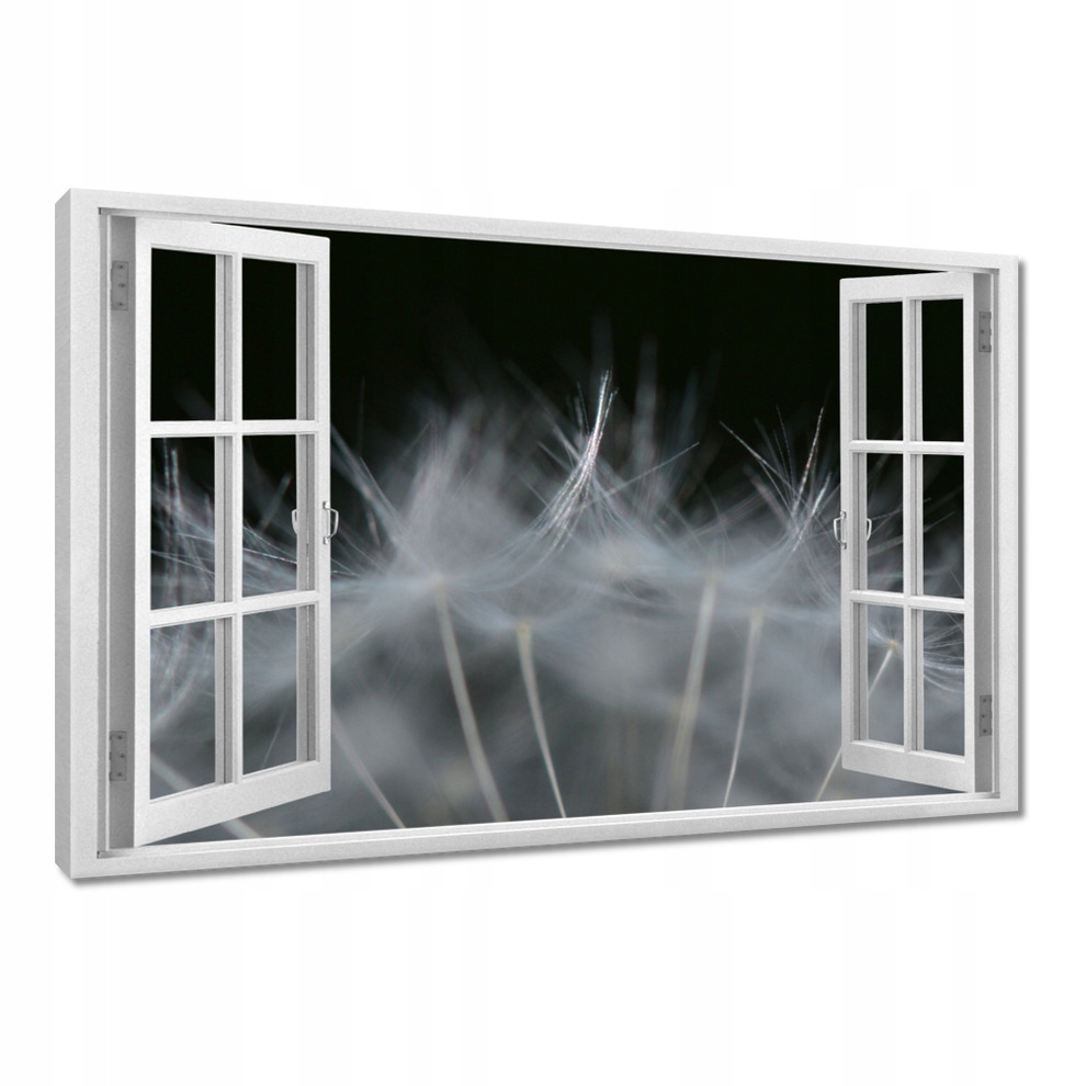 

Obrazy 120x80 Dmuchawiec Kwiat Kwiatki