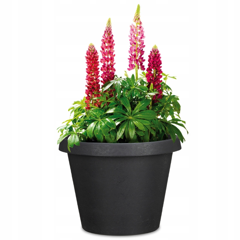 Donica tarasowa 40 jak kamienna terakota Scheurich Szerokość produktu 39 cm