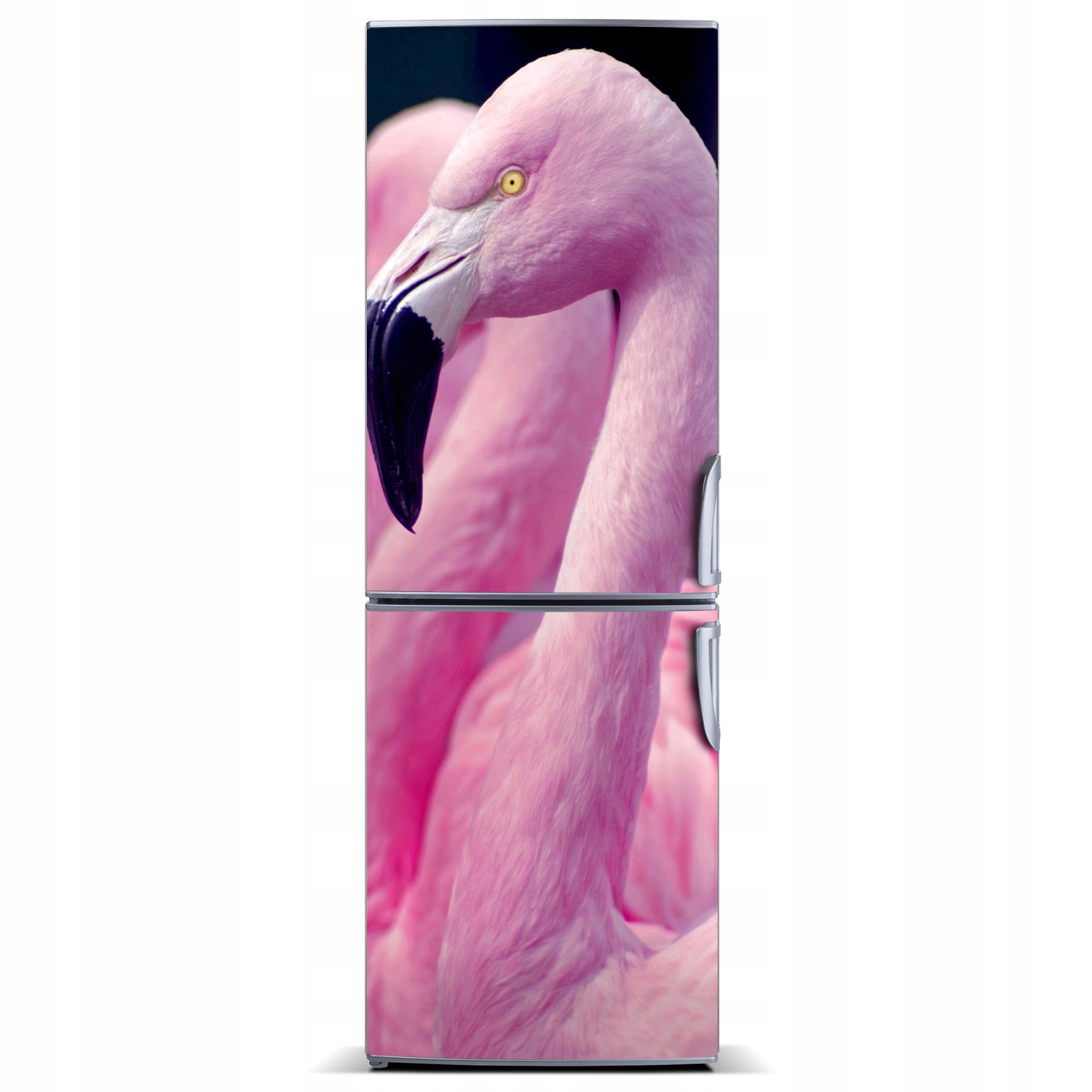 

Naklejka Magnes na lodówkę Flamingi 60x180