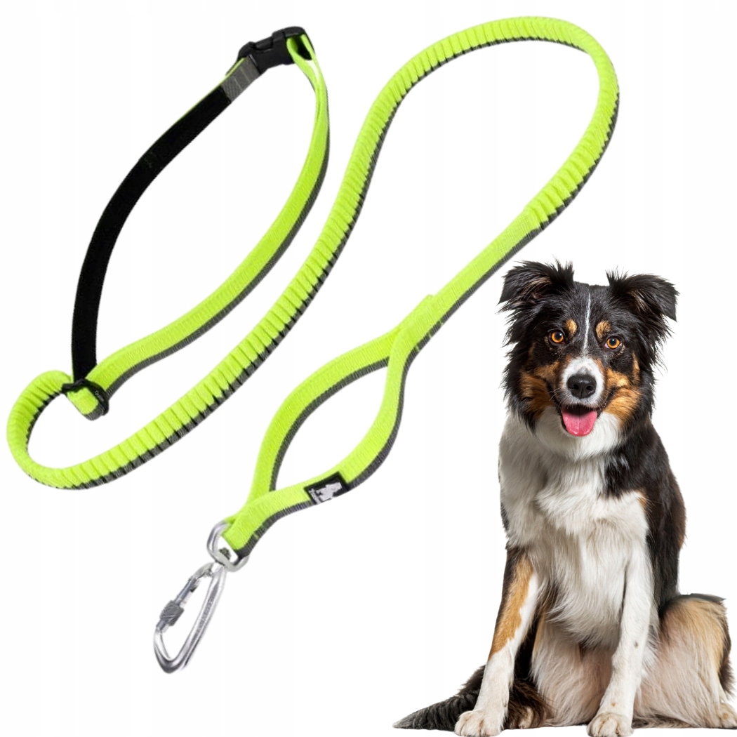 Levně Vodítko Pro Psa S Lehkým Tlumičem Pro Běhání Dogy L Žlutá 3,4 m