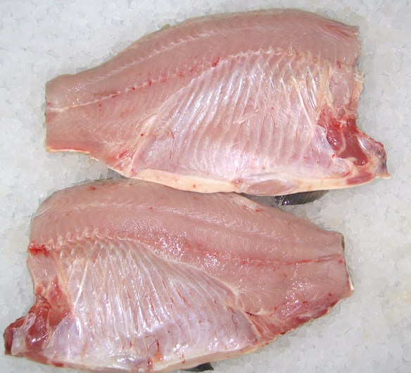 Královský Kapr Laloky