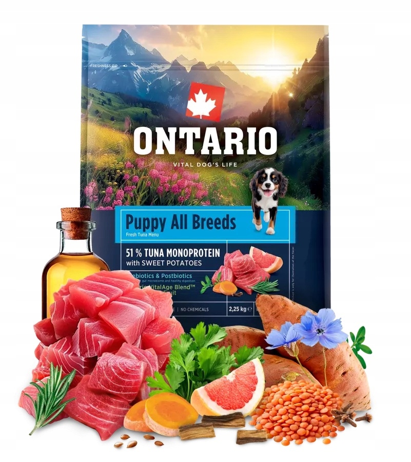 Levně Ontario 2,25kg Krmivo pro štěňata s jednou bílkovinou Tuňák a batáty