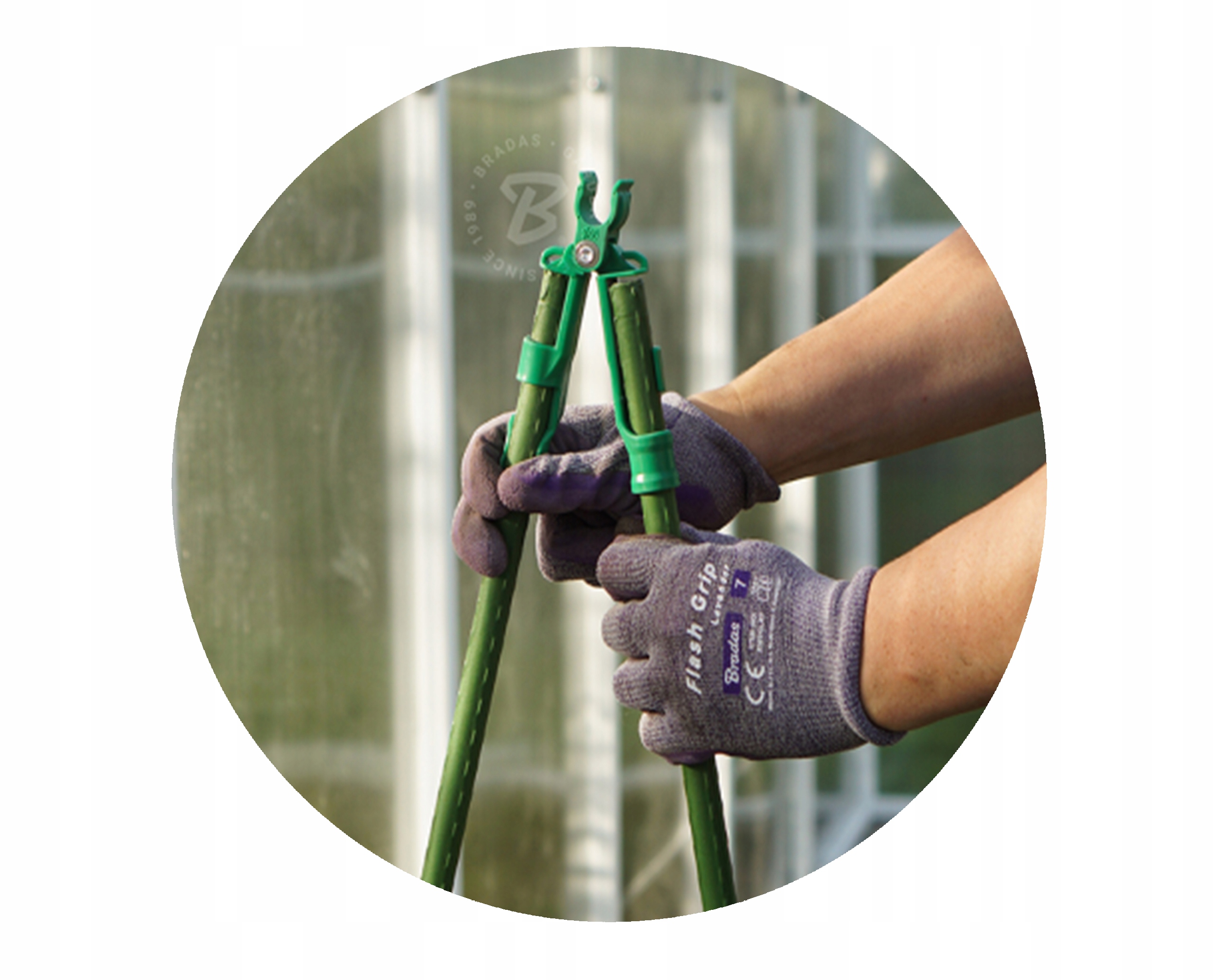 Podpora tyczka palik do pomidorów roślin 180cm 10s Producent Bradas